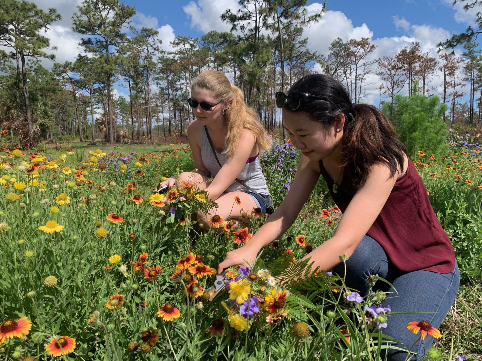 Plant Pressing Workshop teaches students how to preserve nature MA